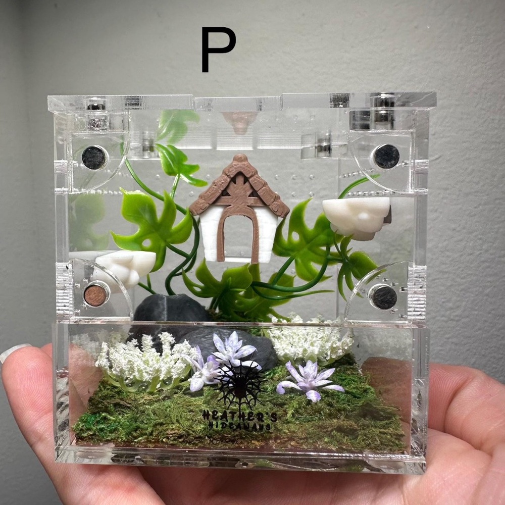 Jumping Spider - 3x3x3 pre-decorated enclosure